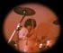 Marty Schulte